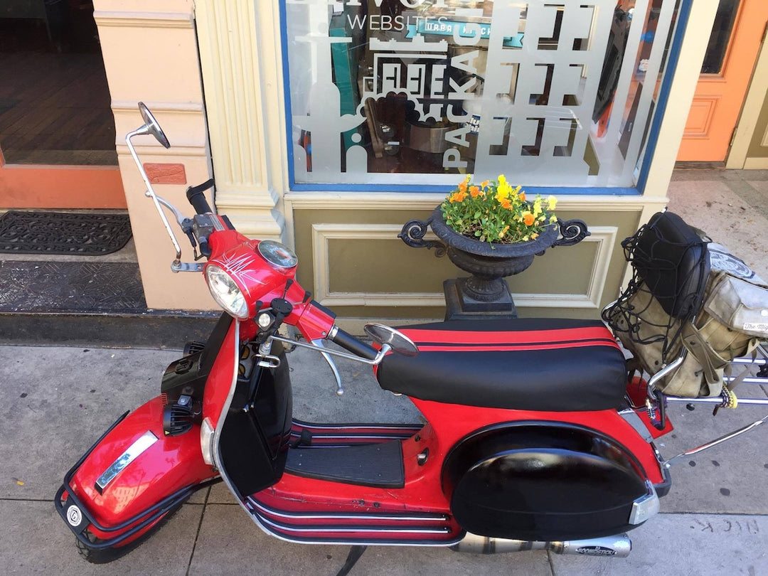 Dual Red Racing Stripes Genuine Stella Seat Cover