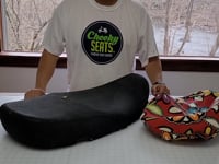 Vespa Sprint / Primavera Green and Blue Paisley SEAT COVER - Beat The Heat!!
