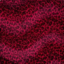 Red Cheetah